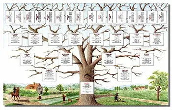 L’albero genealogico terapeutico